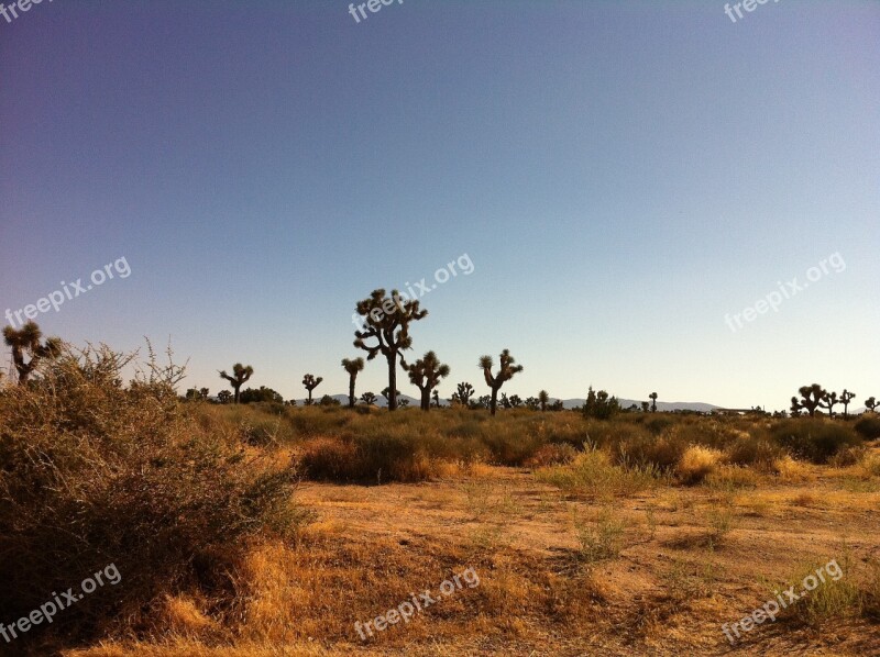 Desert Arid La Landscape Dry