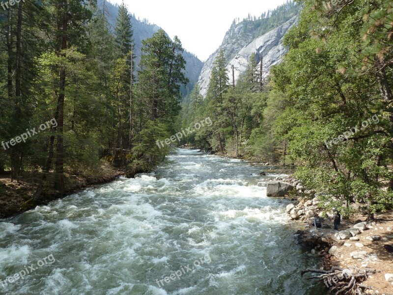 Yosemite Mountains Woods Roadtrip Nature