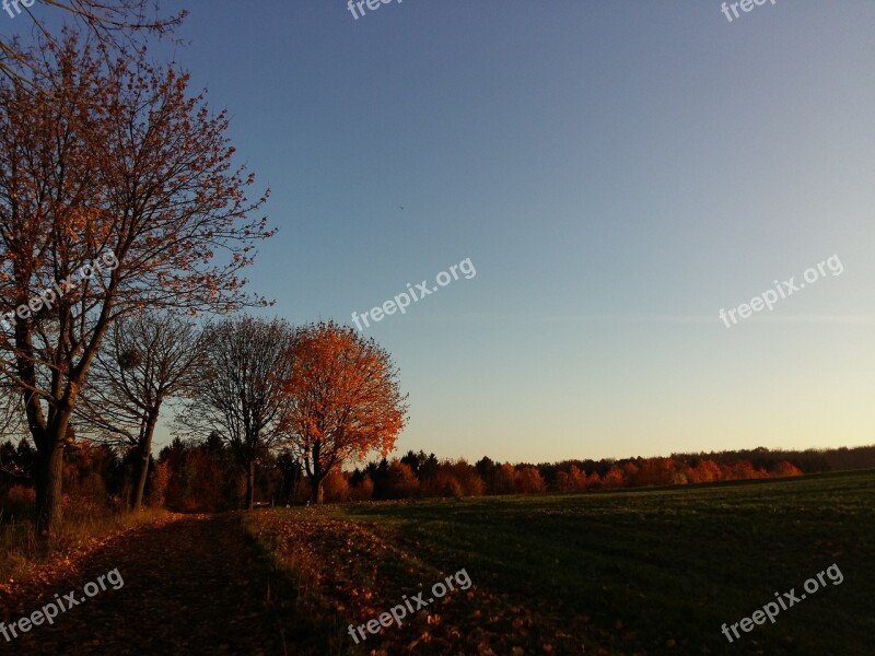 Autumn Nature Landscape Seasons Autumn Light