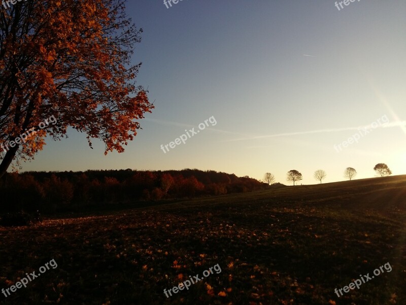 Autumn Nature Landscape Seasons Autumn Light