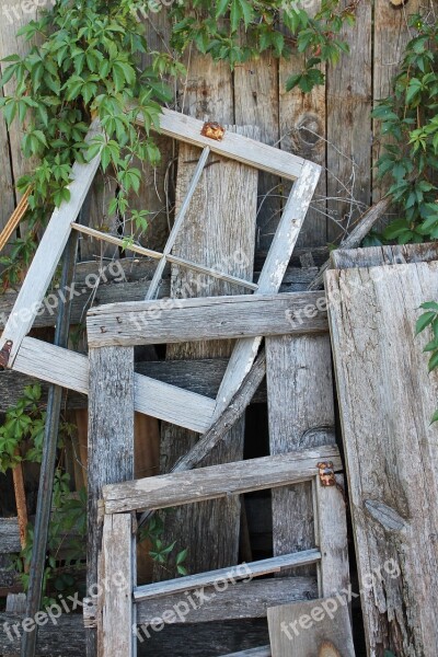 Wooden Fence Vine Wooden Texture Natural