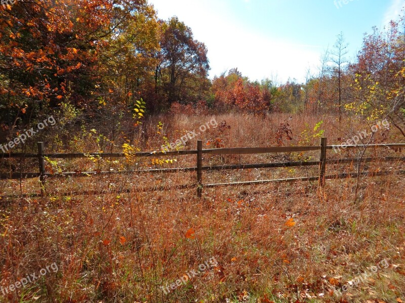 Fall Autumn Orange Season Nature