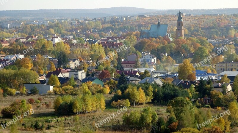 Olkusz Poland Landscape Autumn Tree