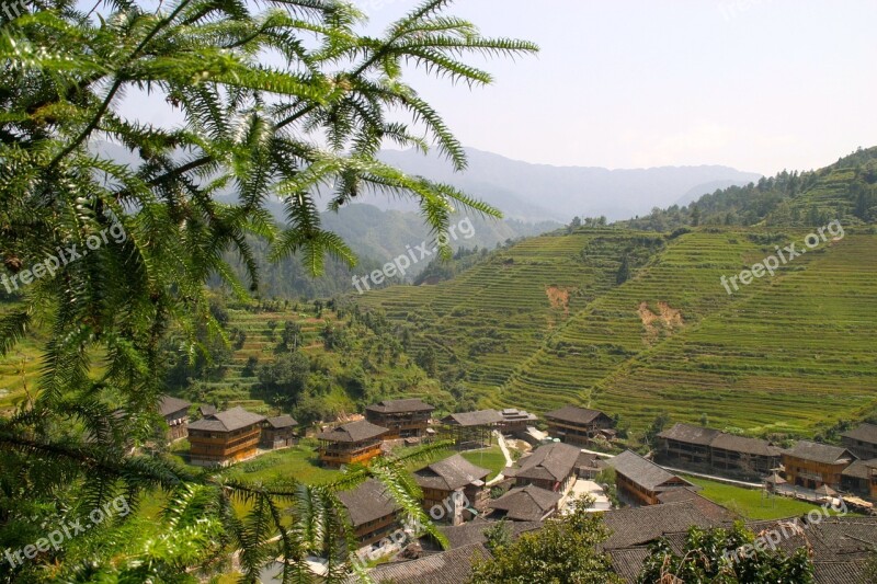 Rice Plantation Rice Plantations Rice Fields Asia