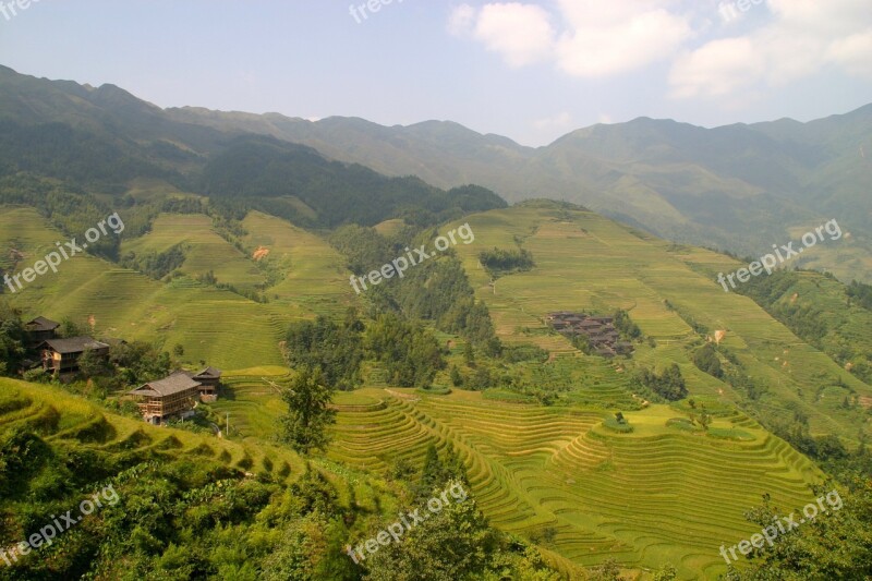 Rice Plantation Rice Plantations Rice Fields Asia