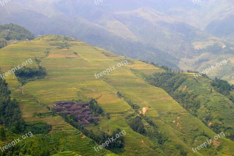 Rice Plantation Rice Plantations Rice Fields Asia