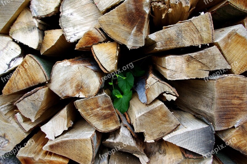 Wood Fence Winds In The Wood Split Wood Free Photos