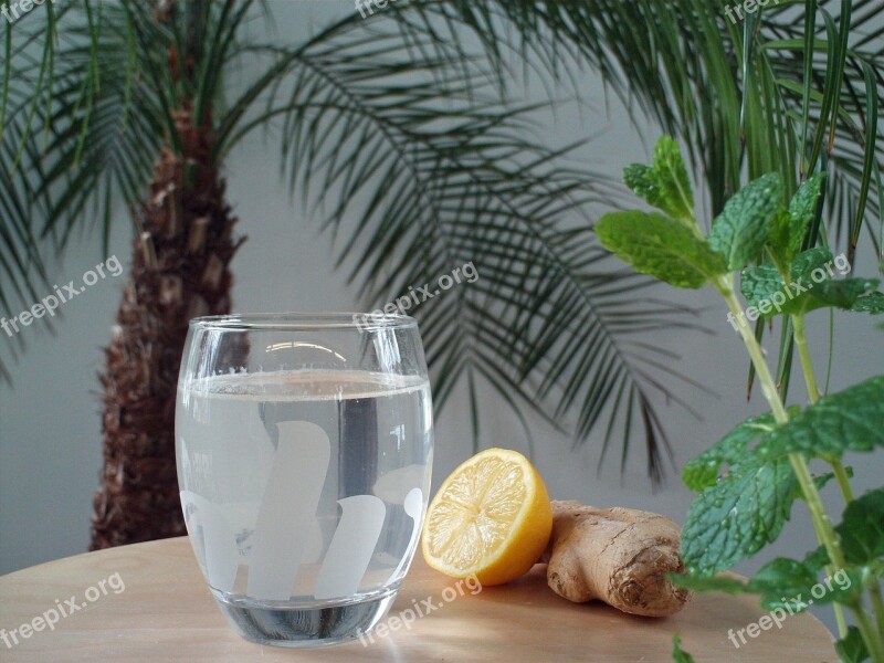 Ginger Beer Refreshment Brew Liquid