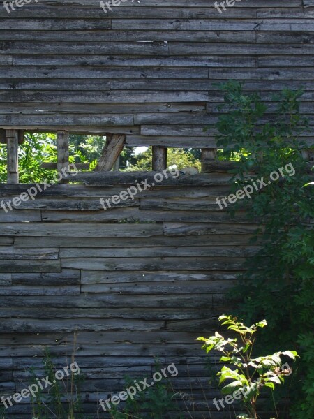 Board Wall Vegetation Old House Free Photos