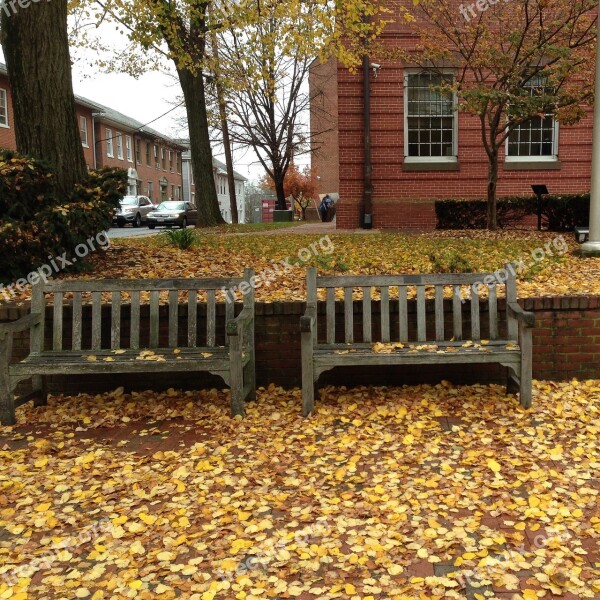 Autumn Bench Fall Leaves Yellow Natural