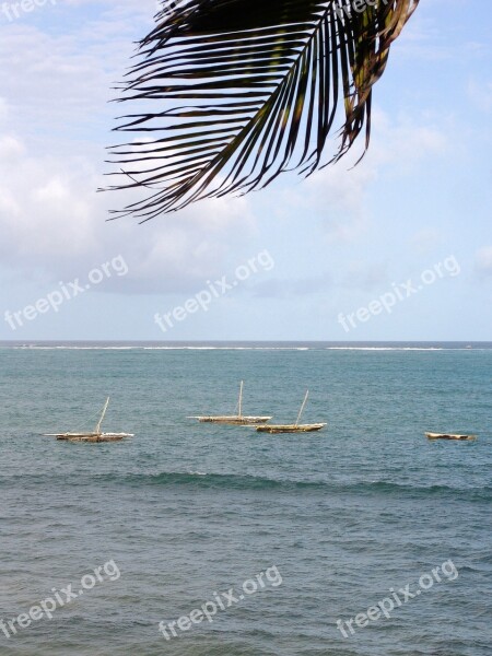 Africa Ocean Water Vacations Wave