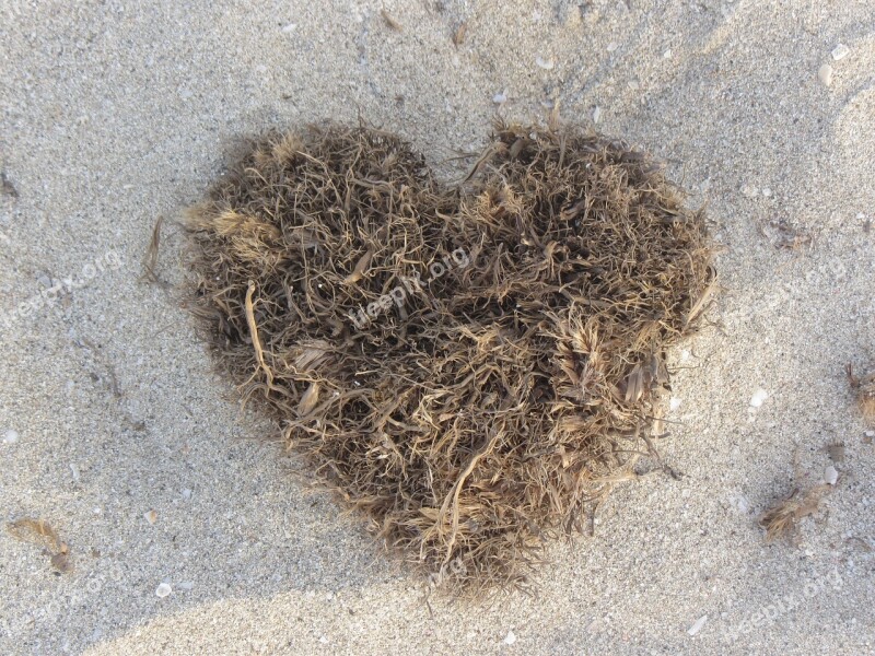 Formentera Beach Heart Nature Love