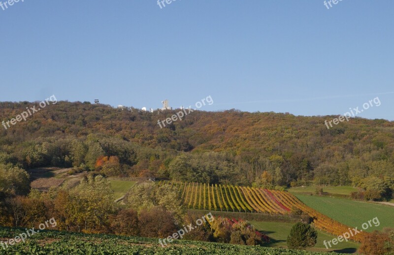 Austria Königswarte Forest Vineyards Free Photos