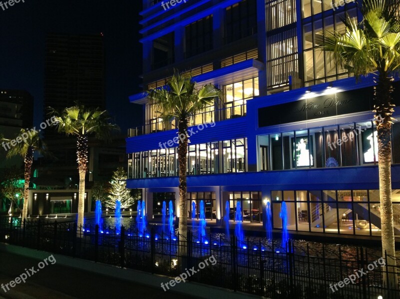 Hotel Night View Palm Tree Blue Tropical