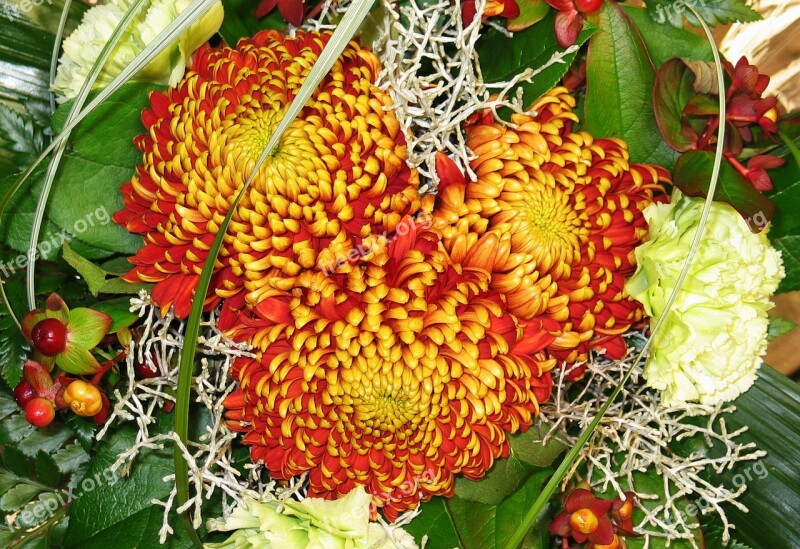 Bouquet Nursery Chrysanthemums Autumn Bouquet Nature