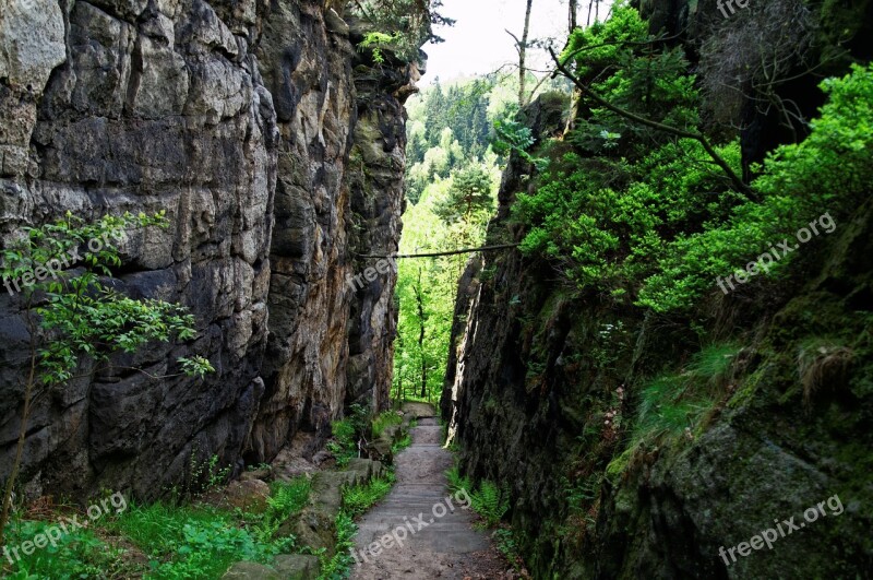 Zittau Mountains Nun Rocks Zittau Mountains Rocks Lane