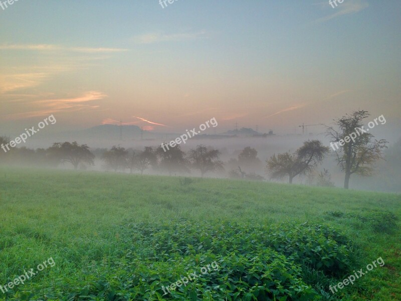 Fog Trees Landscape Nature Atmosphere