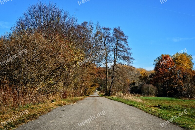 Trees Autumn Away Road Sky