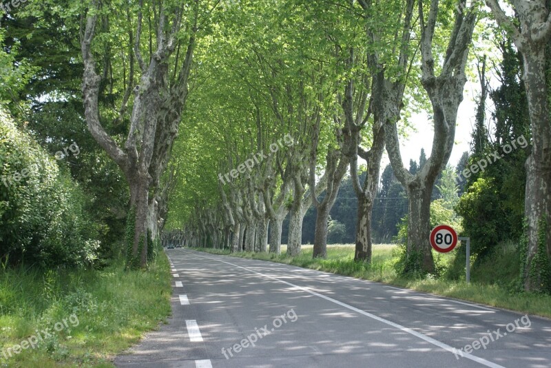 South Of France Road Provence Free Photos