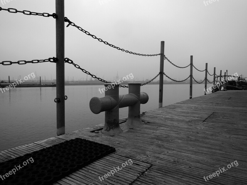 On The Water Dolphin Bollard Morning In The Fog