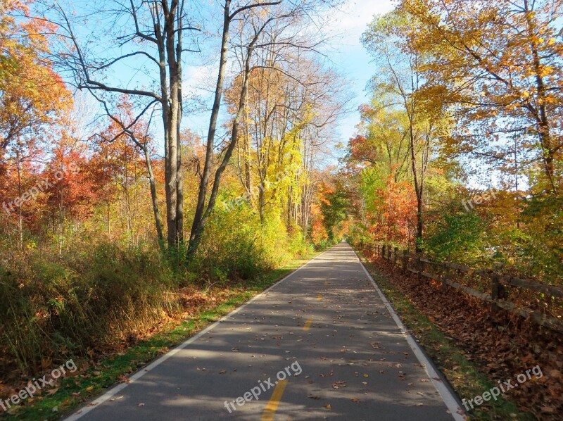 Fall Autumn Orange Season Nature