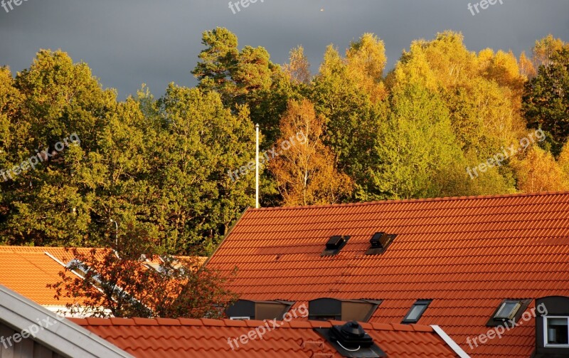 Rooftops Himmel Autumn Free Photos