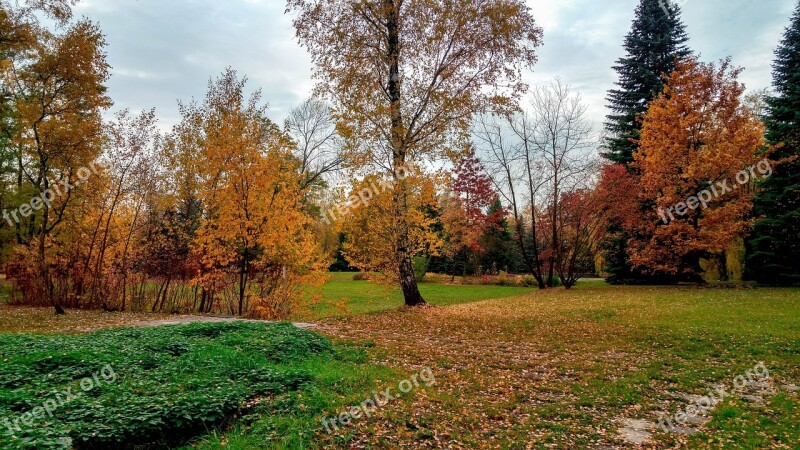 Park Autumn Tree Foliage October