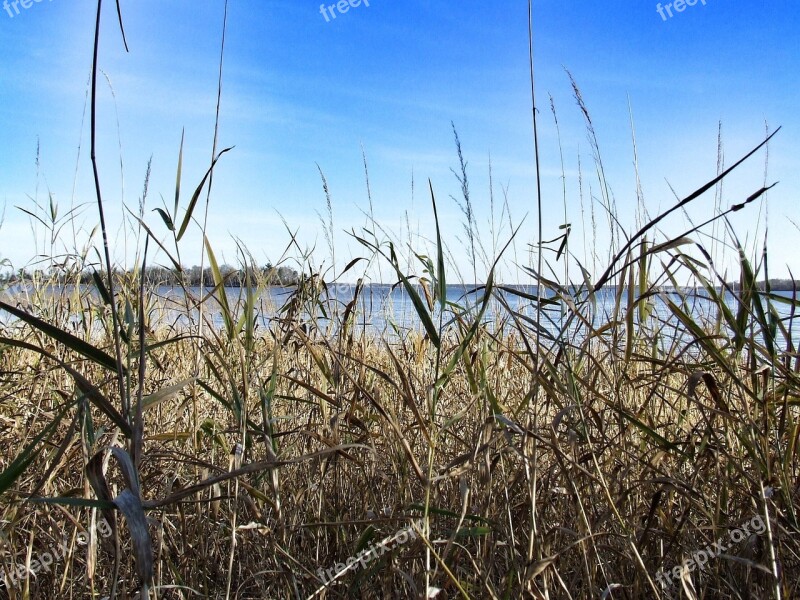 Grass Lake Sky Landscape Water