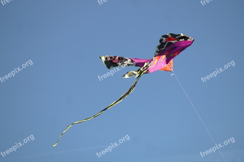 Flying Kite Autumn Sky Wind