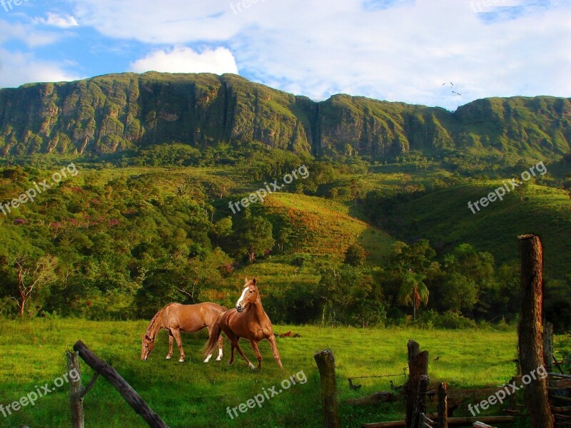 Mountains Serra Vegetation Trees Pasture