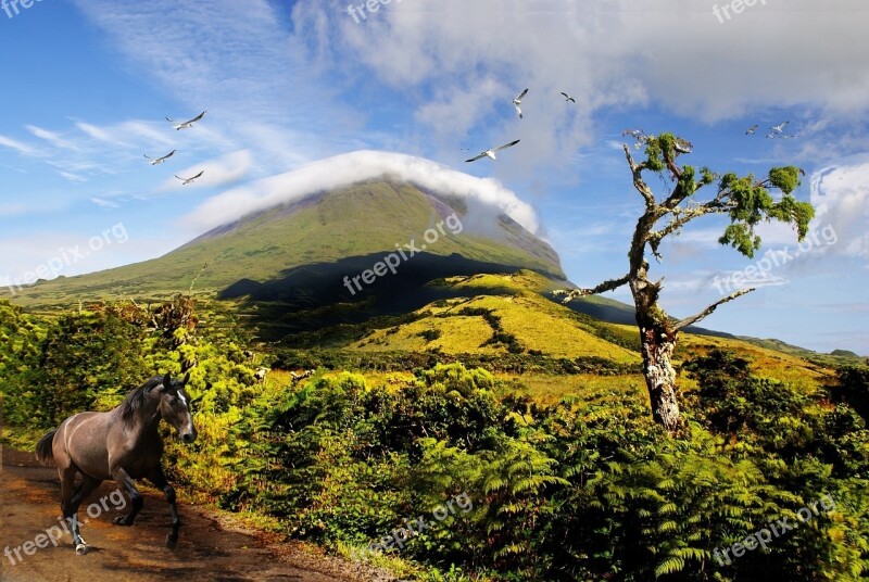 Serra Mountains Blue Sky Clouds Trees