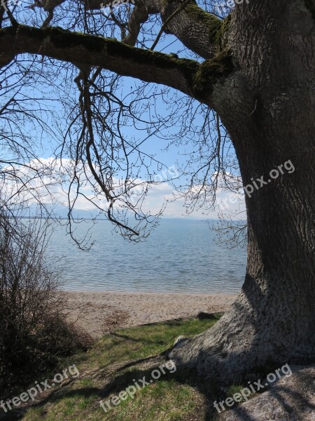 Tree Bank Chiemsee Vacations Harmony