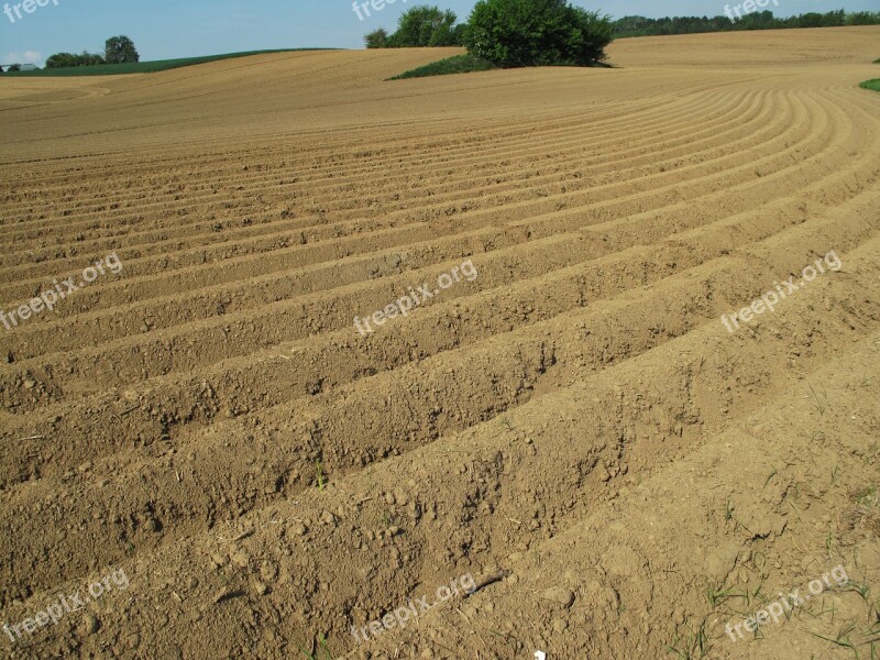 Field Teams Spring Ground Sand