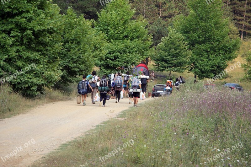 Camping Forest People Nature Camp