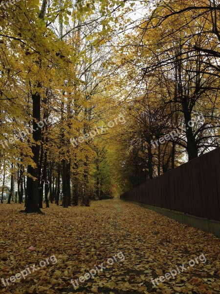 Olkusz Poland Way Autumn Foliage