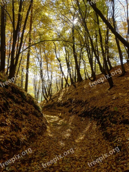 The Founding Fathers Poland The National Park Landscape Foliage