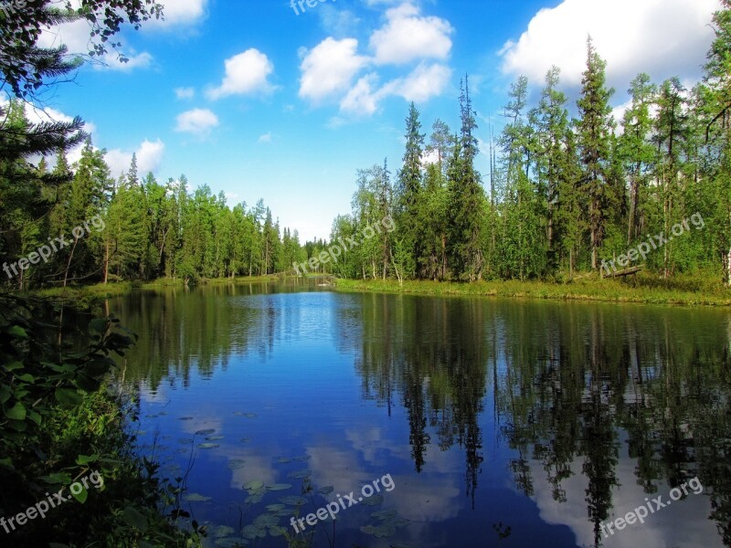 Nature Forest Trees Water North