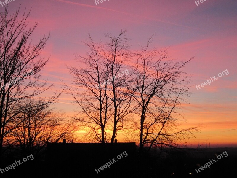 Sunset Trees Evening Evening Sun Romantic