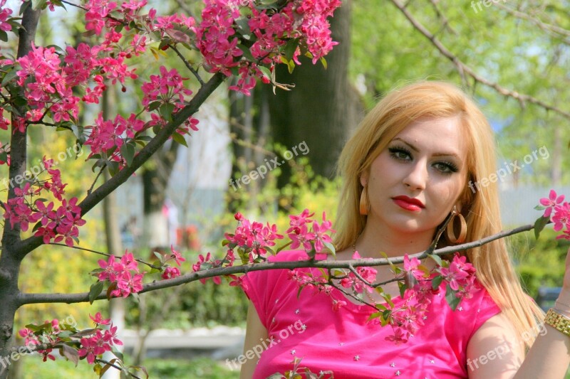 Girl Portrait Pink Flowers Tree