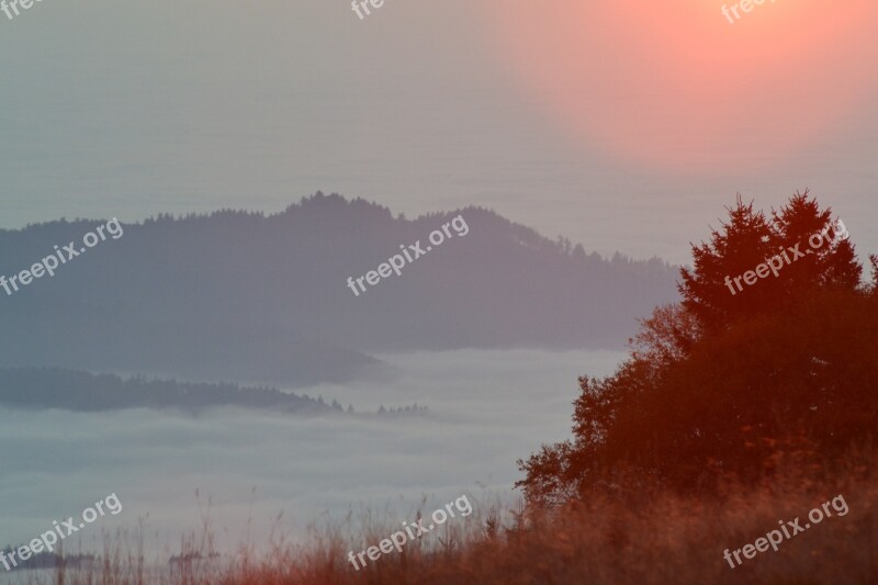 Black Forest Freiburg Schauinsland Backlighting Selva Marine