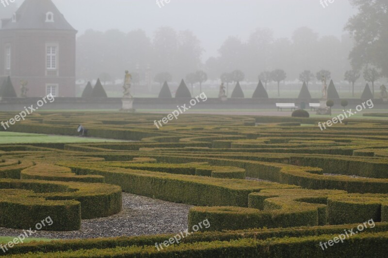 Horticulture Fog Mood Autumn Garden