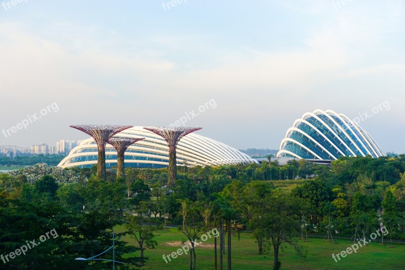 Singapore Flower Dome Scene Asia