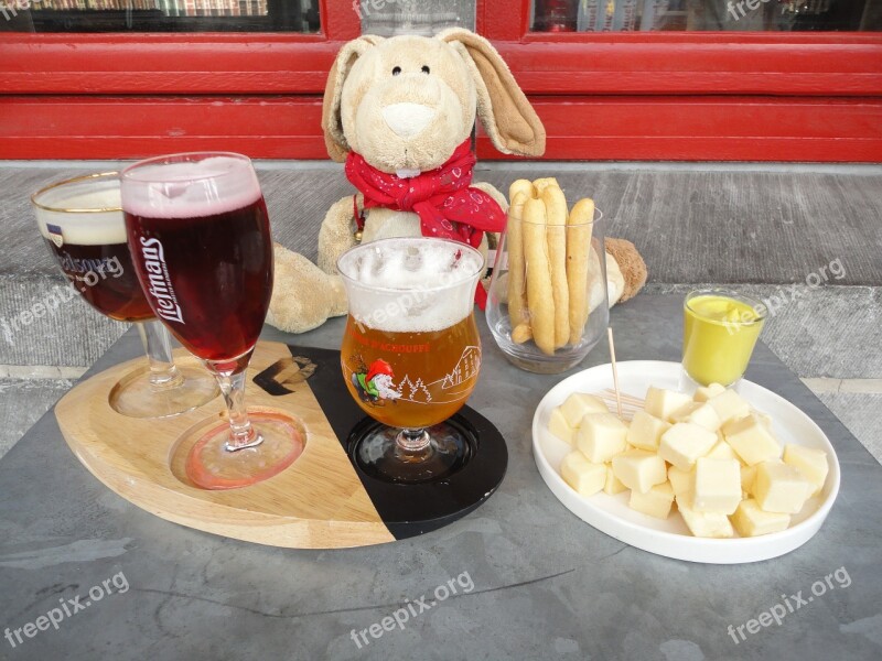 Beer Cheese Tasting Belgium Bruges