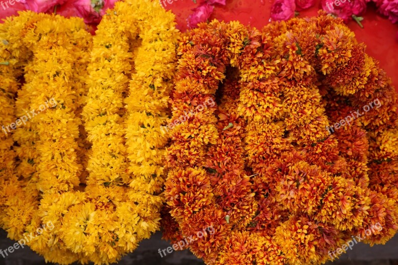 Flower Garland Floral Wedding Caltha