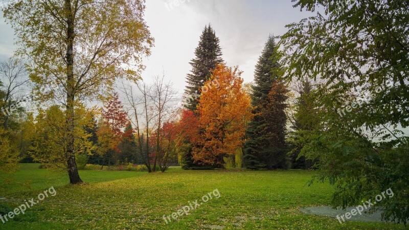 Park Tree Foliage October Nature