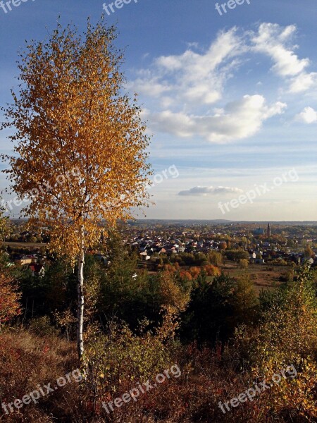 Olkusz Poland Tree Landscape Autumn