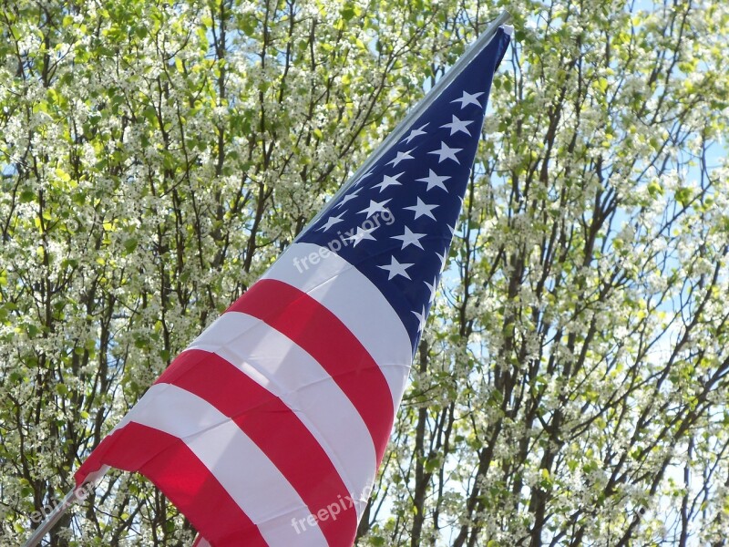 Flag American Wing Waving American Flag