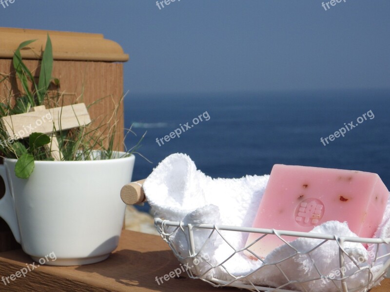 Soap Clean Minimalism Still Life Free Photos