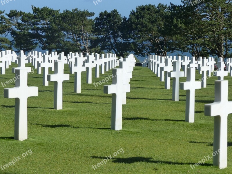 Cemetery Crosses Military Free Photos