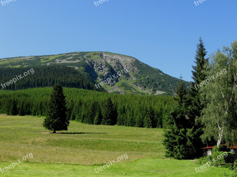 Mountain Forest Meadow Solitude Landscape